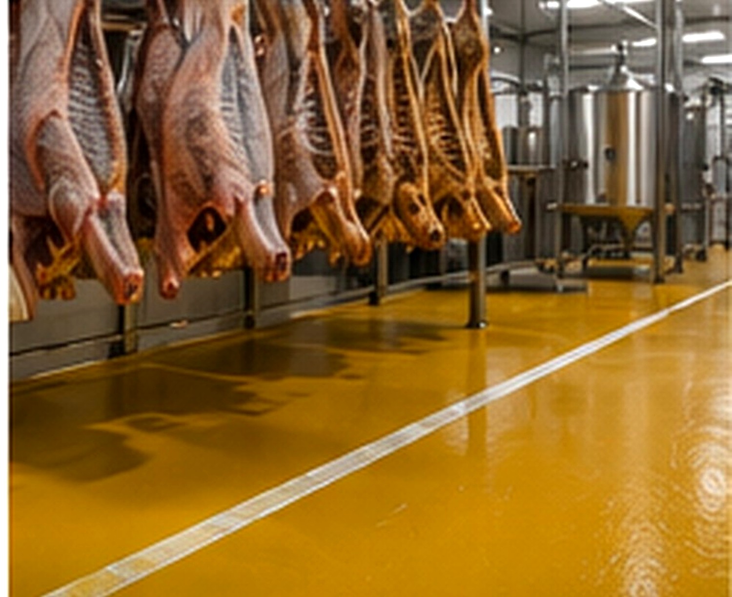 Produits carnés