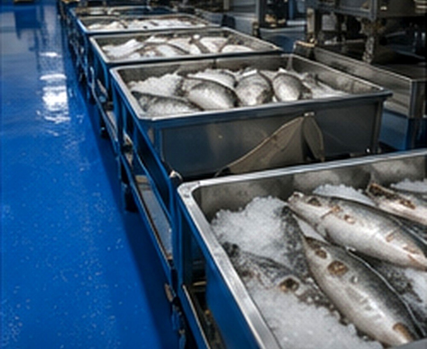 Produits de la mer
